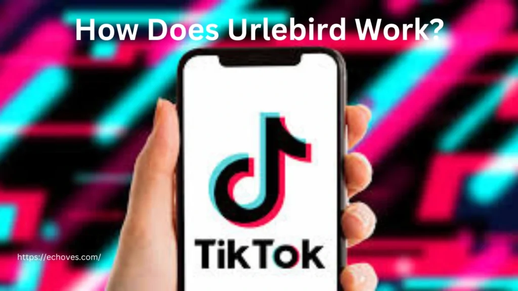 How Does Urlebird Work