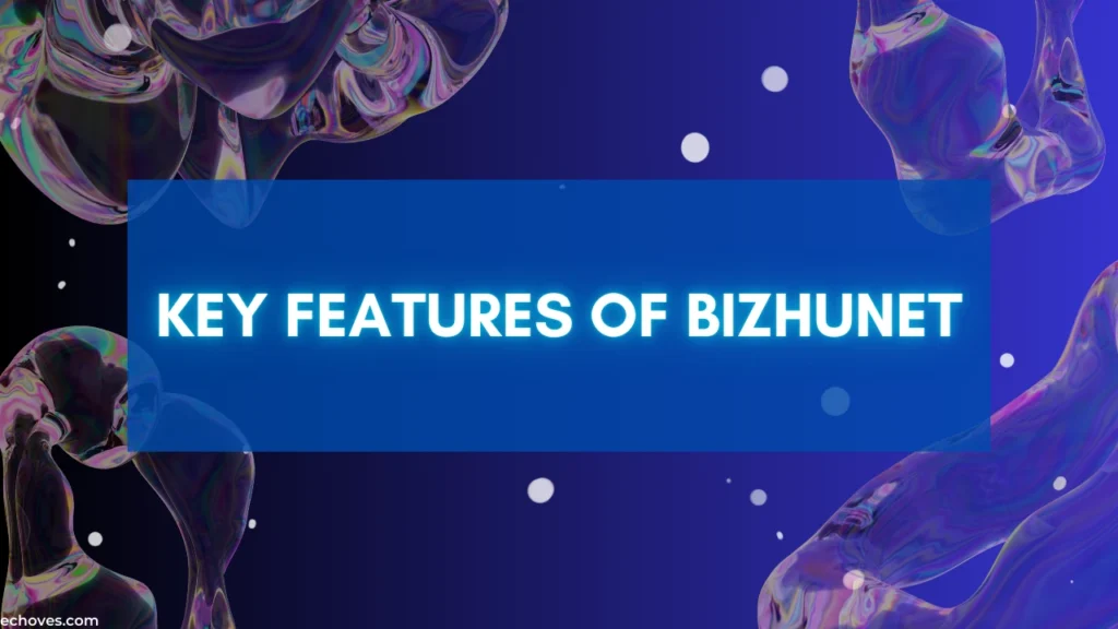 Key Features of Bizhunet