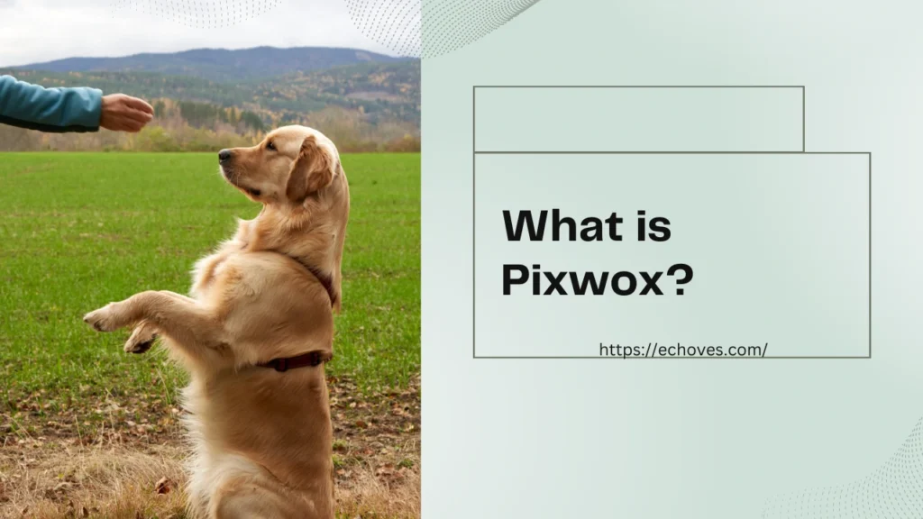 What is Pixwox?