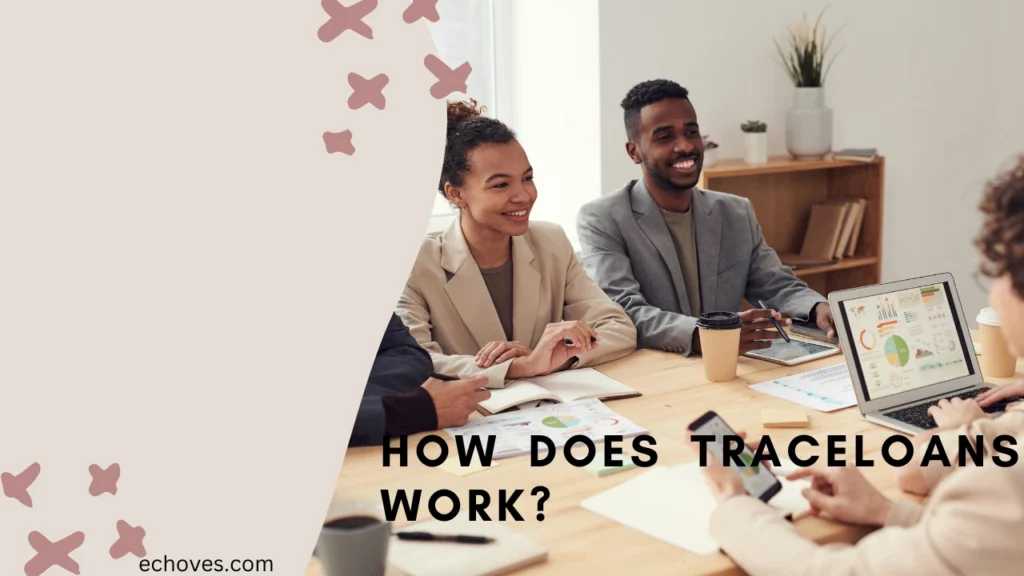 How Does TraceLoans Work