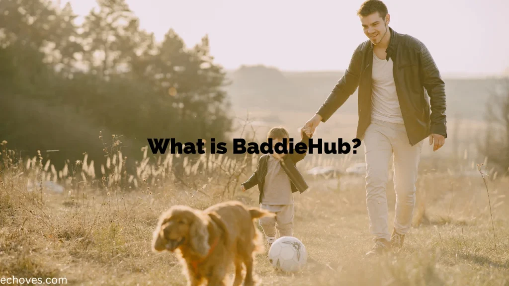 What is BaddieHub?